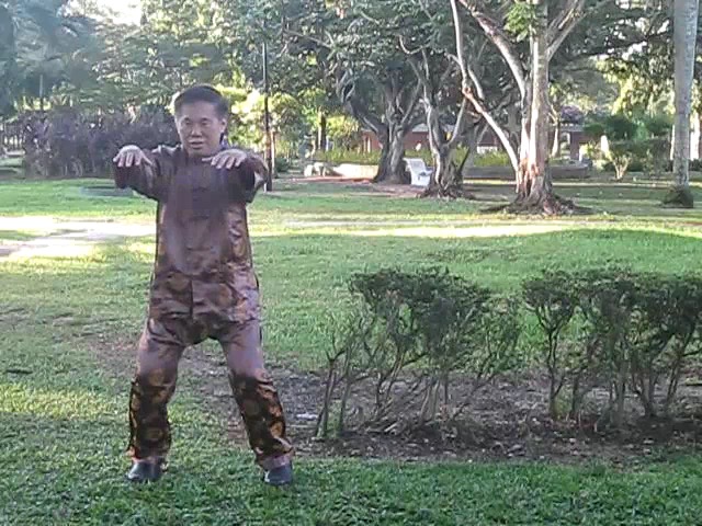 Wu Chuan You Style Taijiquan